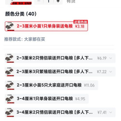 中华草龟活物包活外塘精品草龟室外龟观赏龟墨龟金线龟宠物小乌龟