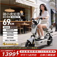 驰小虎 长续航 电动自行车 48V20Ah电池