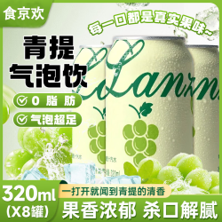 食京欢 青提汽水果汁饮料 320ml*8罐
