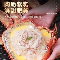 88VIP：首鲜道 帝王蟹