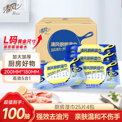清风 厨房湿巾25片4包