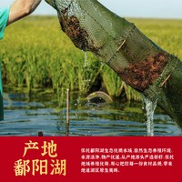 鄱湖 麻辣蒜蓉小龙虾 特大 加热即食