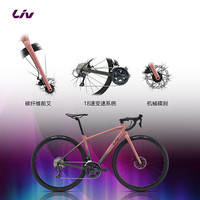 Liv Avail AR 3 碳纤维前叉 700C×445mm 女士公路自行车 S码