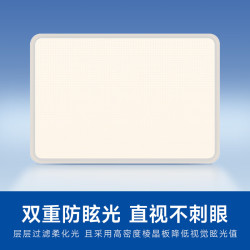 Panasonic 吸顶灯棱晶板全光谱智能护眼客厅灯145瓦IP40防尘防虫款HHXSX430