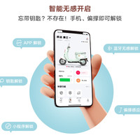 雅迪 麦芒 长续航智能电动轻便摩托车
