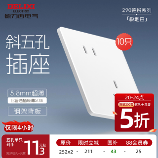 德力西 CD290 极地白色 无框大板斜五孔插座 10只装