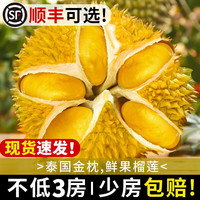 采缇 泰国金枕头榴莲 2-3斤