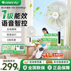 格力 家用电风扇一级能效直流变频AI智能办公室客厅强力AI语音款14寸