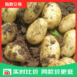 京喜 山东 黄心土豆9斤净重 大果2两起