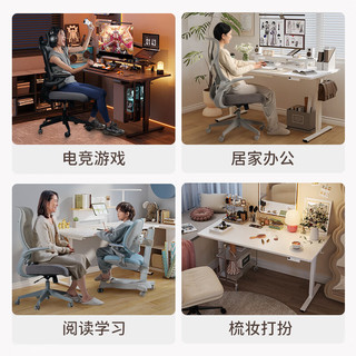 乐歌 E2S 电动升降桌 1.2米 灰胡桃木色 电脑桌