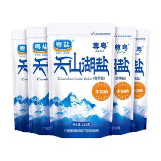 粤盐 天山湖盐
