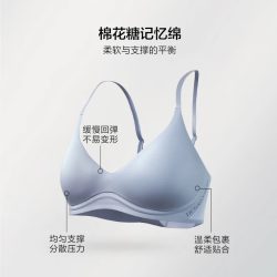 维密 无痕 女士文胸 5ZP0晨雾紫 11245438 L (亚洲码)80C/85A/85B