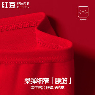 红豆 女士云感棉氨舒适透气三角内裤