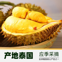 本来果坊 泰国金枕榴莲 3斤起单果装