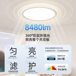 戴尔 已接入米家APP 卧室灯70W  多种色温 20㎡以下
