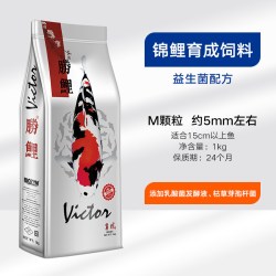 百因美 锦鲤鱼饲料色扬育成金鱼锦鲤鱼家用鱼粮小颗粒不浑水螺旋藻