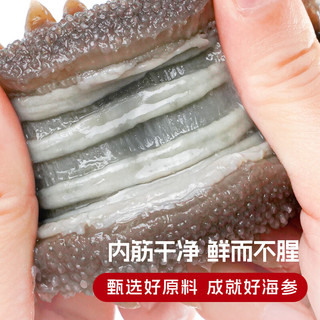 棒棰岛 大连辽刺参 非即食淡干海参 1500g礼盒装21-27只