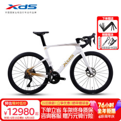 喜德盛 AD7 30周年纪念款 24速电子变速禧玛诺105DI2公路车