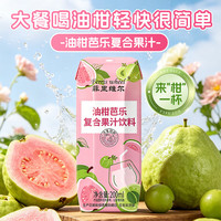 Ferris wheel/菲里维尔 油柑芭乐复合果汁饮料 200ml*24瓶