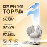 智国者 人体工学护腰坐垫