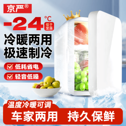 京严 车载冰箱迷你小冰箱母乳冷藏小型冰箱加热保温箱宿舍出租房冰箱 升级芯片 车家两用 8L