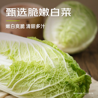 鲜京采 白菜猪肉水饺 1320g（66只）
