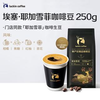 瑞幸咖啡 SOE耶加雪菲咖啡豆 中度烘焙 500g*2袋