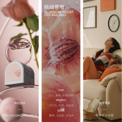 EVERSHINE 桃绒雪境 空气清新剂 350ML 东方花果香 持久家用