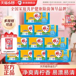 雕牌 透明皂228g*2 家用实惠装洗衣皂 10块 深层去污不伤衣物不伤手
