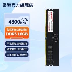 枭鲸 台式机电脑内存条 审判者 ddr5 16GB 4800MHZ Intel专用条