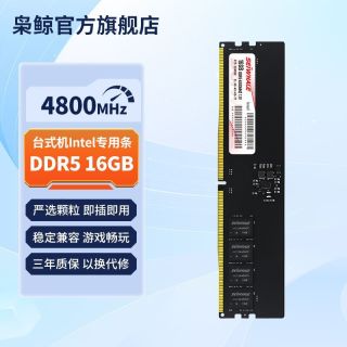 百亿补贴：枭鲸 台式机电脑内存条审判者ddr5 16GB 4800MHZ