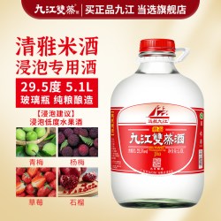 九江双蒸 江双蒸 酒浸泡酒5.1L广东米酒白酒青梅泡酒果酒自酿粮食酒10斤装