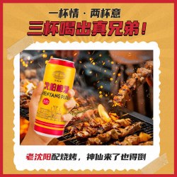 雪花 沈阳啤酒 拉格 500ml*12听