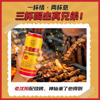 雪花 沈阳啤酒 拉格 500ml*12听