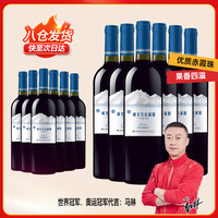 威龙 干红葡萄酒 整箱装