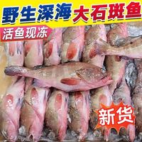 卖鱼七郎 冷冻石斑鱼