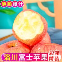 御品一园 陕西洛川红富士苹果 8.5斤 70mm起