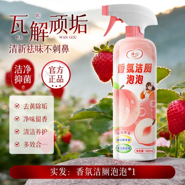 LvBai E10洁厕灵tl 马桶清洁剂泡沫 2瓶 带喷头 去渍除菌除臭清香型