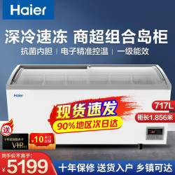 海尔 展示柜商用冰柜 全冷冻超市便利店雪糕速冻柜 电子温控卧式弧面玻璃门雪柜