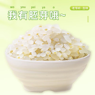 老爷岭 有机胚芽米 10斤（5斤×2）