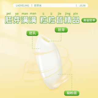 老爷岭 有机胚芽米 10斤（5斤×2）