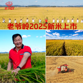 老爷岭 有机胚芽米 10斤（5斤×2）