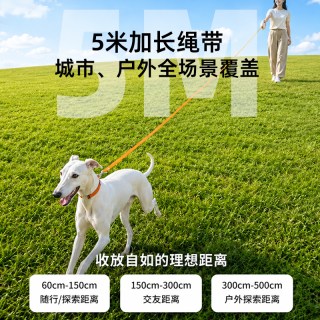 狗狗牵引绳