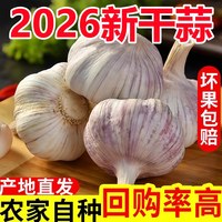 今日必买：果玥 河南 干大蒜 5斤装