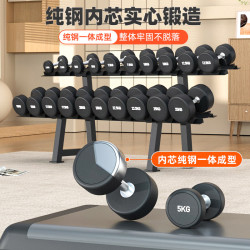 爱宸 纯钢哑铃套装组合男士健身家用5kg/10kg健身房包胶一体式固定亚玲 PEV哑铃(无味/抗摔)单只装 2.5KG