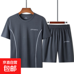 运动套装男夏季跑步装备速干衣短袖T恤宽松冰丝篮球训练健身衣服 灰色套装