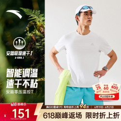 安踏 零压速干T 男士运动T恤 C100