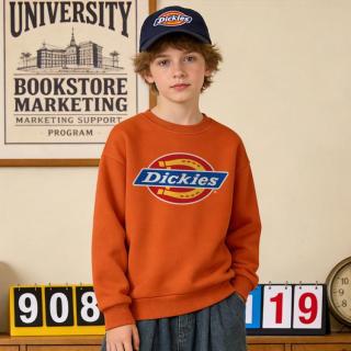 Dickies 儿童卫衣 2026新款