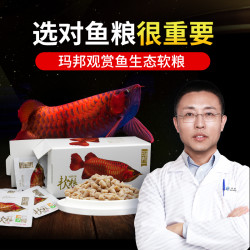 玛豆 软粮红龙鱼金龙鱼观赏鱼饲料颗粒鱼粮玛邦高蛋白营养生态鱼食