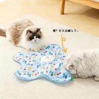 瓜洲牧 猫咪捕猎毯玩具